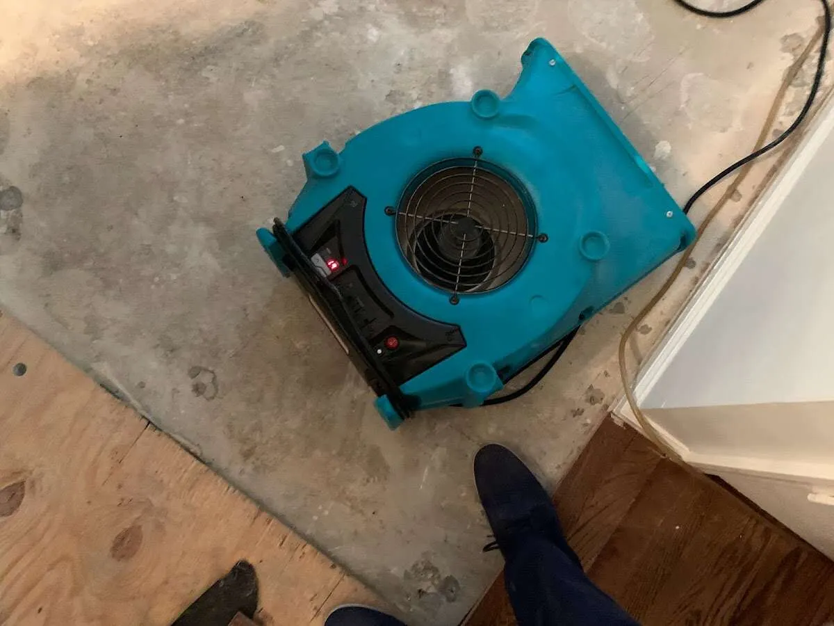 Air mover drying subfloor during Leak Detection & Repair in Clarence